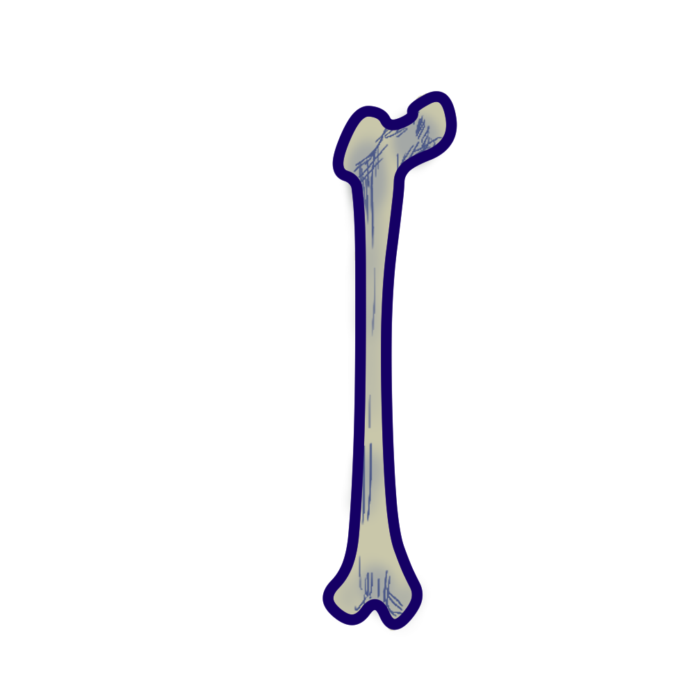 bone